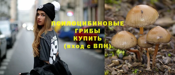 прущие крисы Касимов