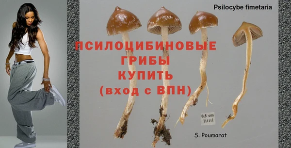 крисы Карпинск