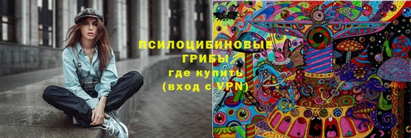 крисы Карпинск