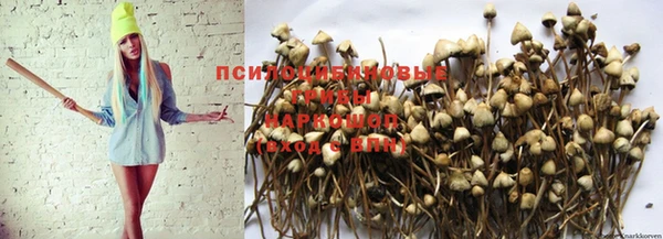 крисы Карпинск