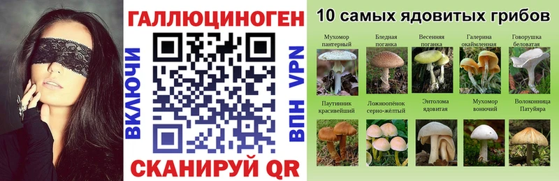 Купить закладки  Невьянск  Псилоцибиновые грибы Magic Shrooms 